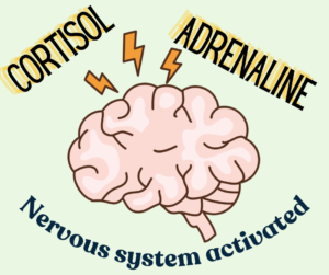 image of the brain being flooded with cortisol and adrenaline