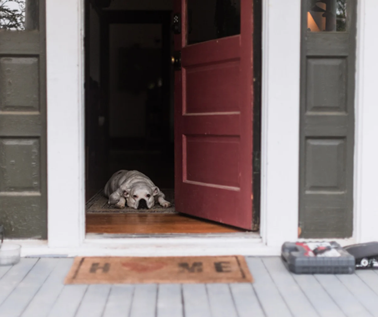 Steps to Build Confidence and Step Out of Agoraphobia