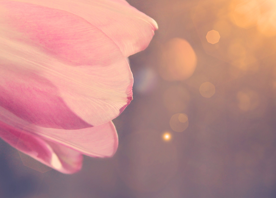 How to Forgive Yourself: Letting Go of Past Mistakes and Moving On